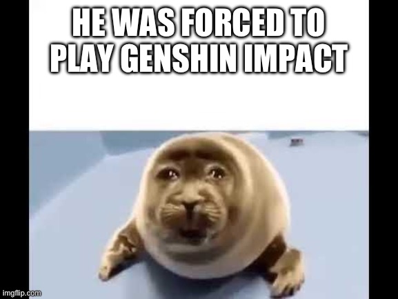 he was forced to eat cement | HE WAS FORCED TO PLAY GENSHIN IMPACT | image tagged in he was forced to eat cement | made w/ Imgflip meme maker