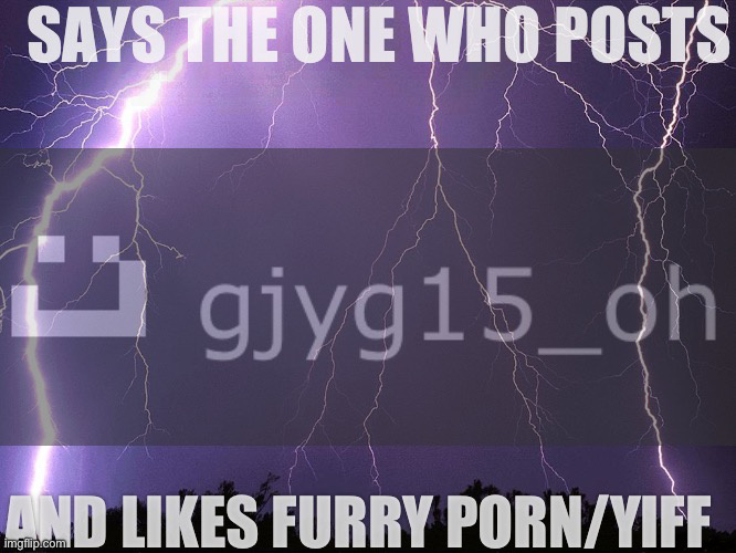 High Quality Says the one who posts and likes furry porn/yiff Blank Meme Template