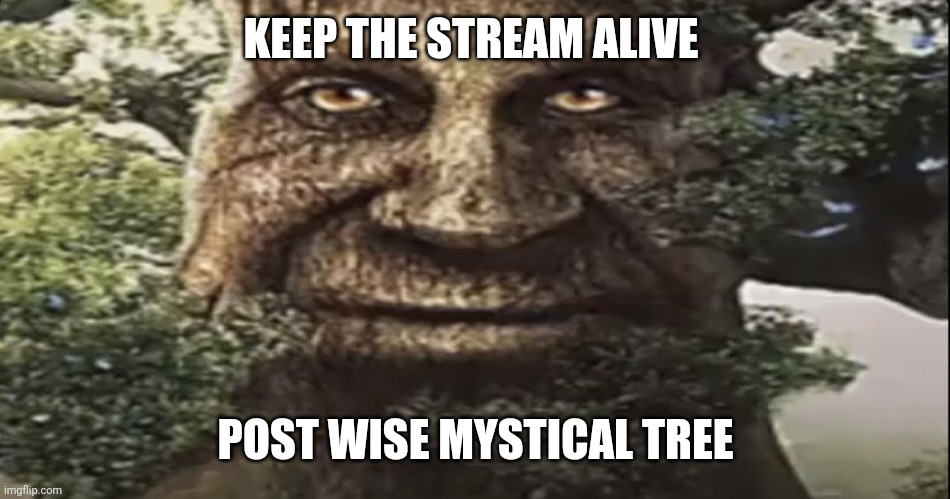 wise mystical tree we live we love we lie｜TikTok Search