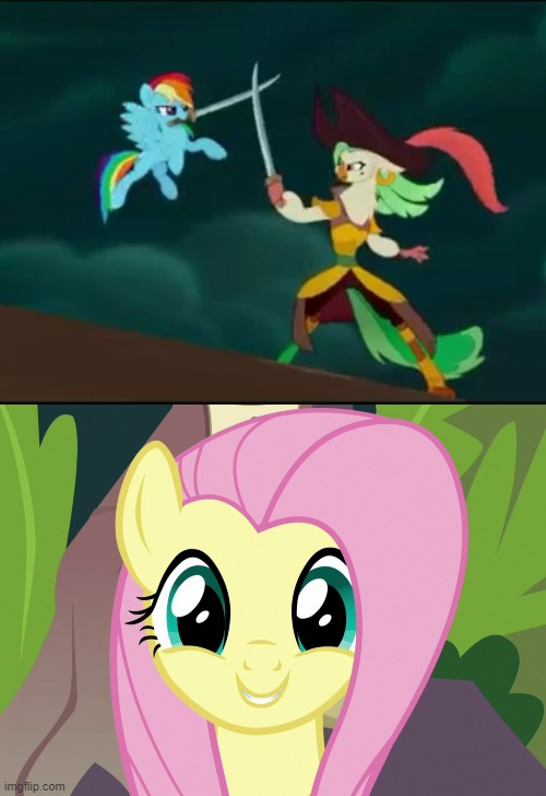 MLP Fighting Blank Meme Template