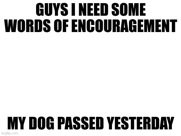 i need it today | GUYS I NEED SOME WORDS OF ENCOURAGEMENT; MY DOG PASSED YESTERDAY | image tagged in blank white template | made w/ Imgflip meme maker