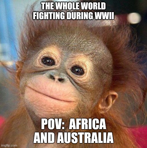 Smiling monkey | THE WHOLE WORLD FIGHTING DURING WWII; POV:  AFRICA AND AUSTRALIA | image tagged in smiling monkey | made w/ Imgflip meme maker