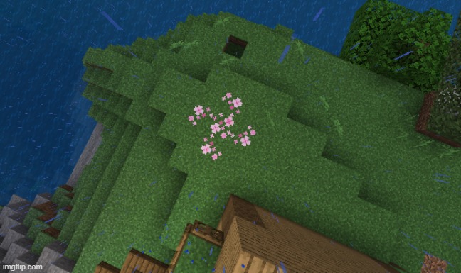 Hmmm... What do you see here? | image tagged in memes,minecraft,sus,hitler,innocent,flowers | made w/ Imgflip meme maker