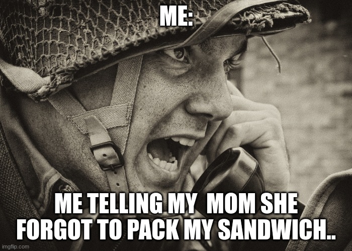 SAD | ME:; ME TELLING MY  MOM SHE FORGOT TO PACK MY SANDWICH.. | image tagged in ww2 us soldier yelling radio | made w/ Imgflip meme maker