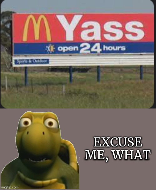 ... | EXCUSE ME, WHAT | image tagged in help | made w/ Imgflip meme maker