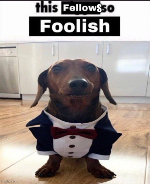 This fellow is so foolish | S | image tagged in this fellow is so foolish | made w/ Imgflip meme maker
