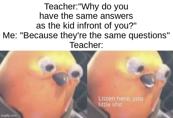 listen here you little | Teacher:"Why do you have the same answers as the kid infront of you?"
Me: "Because they're the same questions"
Teacher: | image tagged in listen here you little shit bird | made w/ Imgflip meme maker