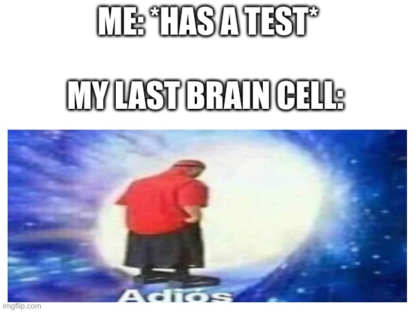 ME: *HAS A TEST*; MY LAST BRAIN CELL: | image tagged in fun | made w/ Imgflip meme maker