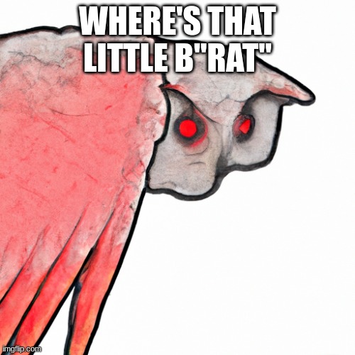 WHERE'S THAT LITTLE B"RAT" | image tagged in funny memes | made w/ Imgflip meme maker