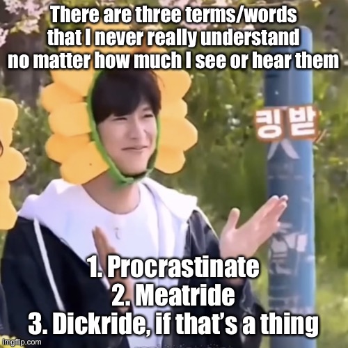 :) | There are three terms/words that I never really understand no matter how much I see or hear them; 1. Procrastinate
2. Meatride
3. Dickride, if that’s a thing | made w/ Imgflip meme maker