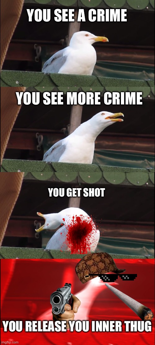 Thug bird | YOU SEE A CRIME; YOU SEE MORE CRIME; YOU GET SHOT; YOU RELEASE YOU INNER THUG | image tagged in memes,inhaling seagull,crime,gun,thug life,suicide face spongbob | made w/ Imgflip meme maker