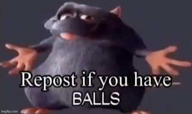 Repost this everywhere | image tagged in stupid | made w/ Imgflip meme maker