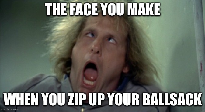 Scary Harry | THE FACE YOU MAKE; WHEN YOU ZIP UP YOUR BALLSACK | image tagged in memes,scary harry | made w/ Imgflip meme maker