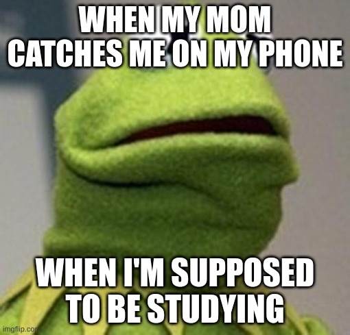 Kermit The Frog | WHEN MY MOM CATCHES ME ON MY PHONE; WHEN I'M SUPPOSED TO BE STUDYING | image tagged in kermit the frog | made w/ Imgflip meme maker
