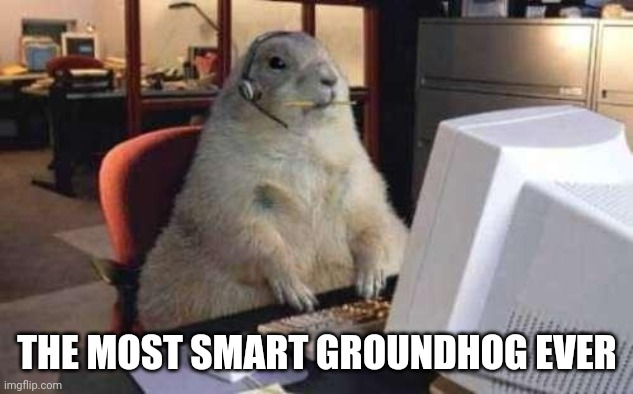 A very smart Groundhog | THE MOST SMART GROUNDHOG EVER | image tagged in working groundhog | made w/ Imgflip meme maker