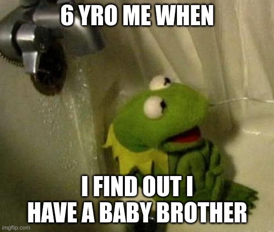 Kermit on Shower | 6 YRO ME WHEN; I FIND OUT I HAVE A BABY BROTHER | image tagged in kermit on shower | made w/ Imgflip meme maker