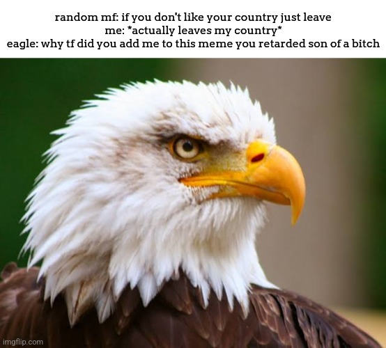 random mf: if you don't like your country just leave
me: *actually leaves my country*
eagle: why tf did you add me to this meme you retarded son of a bitch | made w/ Imgflip meme maker