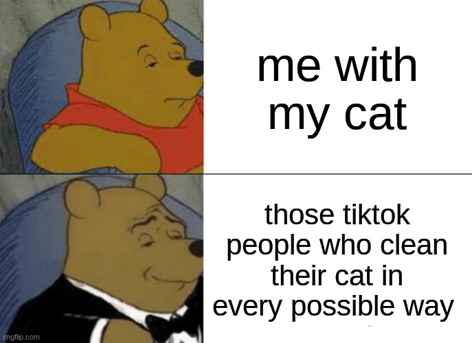 this is true tho | me with my cat; those tiktok people who clean their cat in every possible way | image tagged in memes,tuxedo winnie the pooh | made w/ Imgflip meme maker