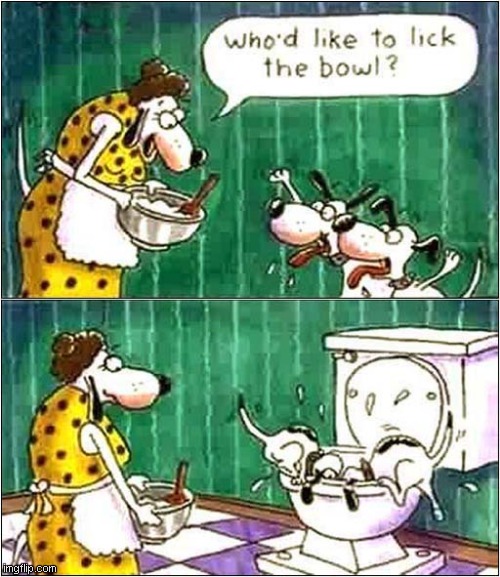 A Childhood Memory (Sort Of) ! | image tagged in dogs,licking,bowl,toilet | made w/ Imgflip meme maker