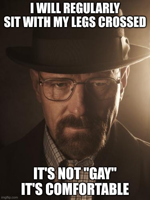 Walter White | I WILL REGULARLY SIT WITH MY LEGS CROSSED; IT'S NOT "GAY" IT'S COMFORTABLE | image tagged in walter white | made w/ Imgflip meme maker