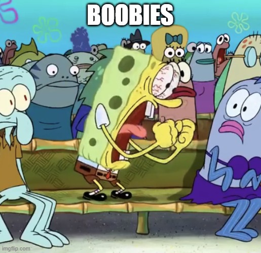 Spongebob Yelling | BOOBIES | image tagged in spongebob yelling | made w/ Imgflip meme maker