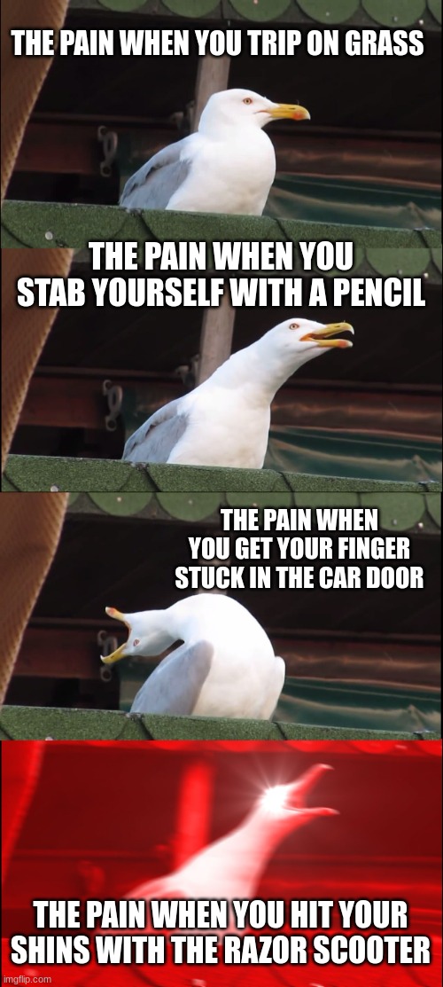 has any of these things happend to you | THE PAIN WHEN YOU TRIP ON GRASS; THE PAIN WHEN YOU STAB YOURSELF WITH A PENCIL; THE PAIN WHEN YOU GET YOUR FINGER STUCK IN THE CAR DOOR; THE PAIN WHEN YOU HIT YOUR SHINS WITH THE RAZOR SCOOTER | image tagged in memes,inhaling seagull | made w/ Imgflip meme maker