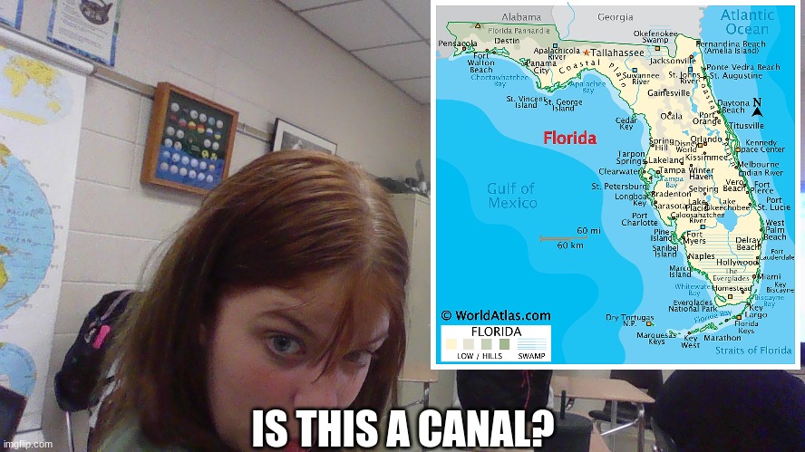Tess does nut know canal | IS THIS A CANAL? | image tagged in canal | made w/ Imgflip meme maker
