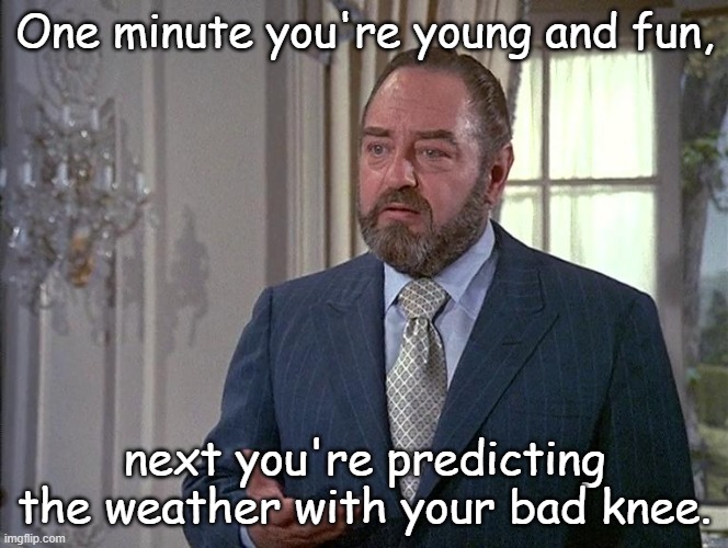 Mr French predicting the weather with bad knee | One minute you're young and fun, next you're predicting the weather with your bad knee. | image tagged in sebastian | made w/ Imgflip meme maker