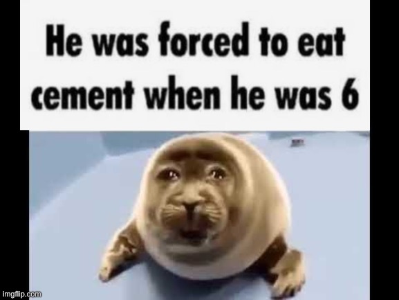 he was forced to eat cement | image tagged in he was forced to eat cement | made w/ Imgflip meme maker