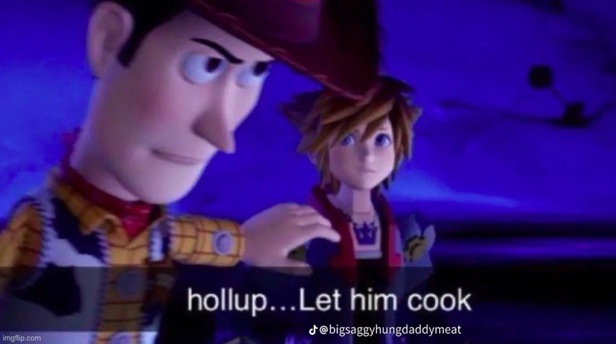 Holl up let him cook | image tagged in holl up let him cook | made w/ Imgflip meme maker