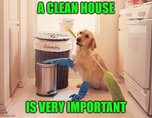 house cleaning | A CLEAN HOUSE IS VERY IMPORTANT | image tagged in house cleaning | made w/ Imgflip meme maker