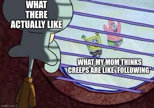 Squid | WHAT THERE ACTUALLY LIKE; WHAT MY MOM THINKS CREEPS ARE LIKE *FOLLOWING* | image tagged in squidward window | made w/ Imgflip meme maker