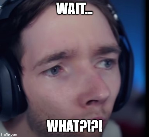 DanTDM Wait | WAIT... WHAT?!?! | image tagged in dantdm wait | made w/ Imgflip meme maker