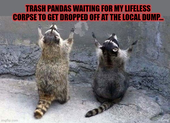 But why? Why would you do that? | TRASH PANDAS WAITING FOR MY LIFELESS CORPSE TO GET DROPPED OFF AT THE LOCAL DUMP... | image tagged in raccoon worshipping,trash,panda | made w/ Imgflip meme maker