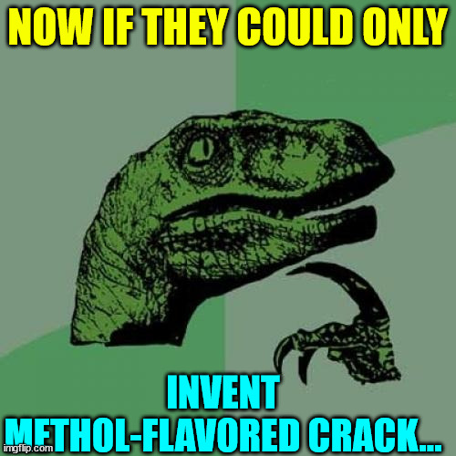 Philosoraptor Meme | NOW IF THEY COULD ONLY INVENT METHOL-FLAVORED CRACK... | image tagged in memes,philosoraptor | made w/ Imgflip meme maker