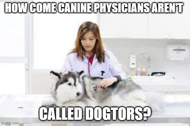 meme by brad dog vets should be dogtors | HOW COME CANINE PHYSICIANS AREN'T; CALLED DOGTORS? | image tagged in dogs | made w/ Imgflip meme maker