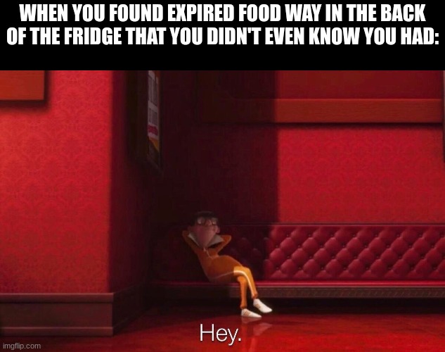 Shame on you | WHEN YOU FOUND EXPIRED FOOD WAY IN THE BACK OF THE FRIDGE THAT YOU DIDN'T EVEN KNOW YOU HAD: | image tagged in vector,memes,funny,food,despicable me | made w/ Imgflip meme maker