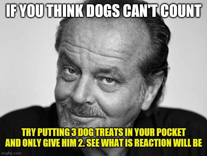 Dogs can count | IF YOU THINK DOGS CAN'T COUNT; TRY PUTTING 3 DOG TREATS IN YOUR POCKET AND ONLY GIVE HIM 2. SEE WHAT IS REACTION WILL BE | image tagged in jack nicholson black and white,funny memes | made w/ Imgflip meme maker