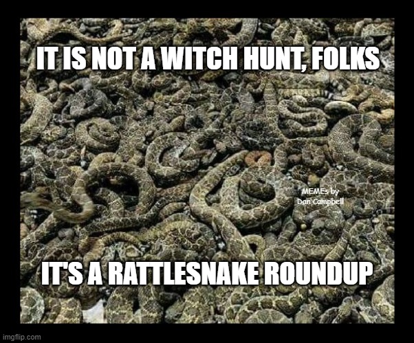 rattlesnakes | IT IS NOT A WITCH HUNT, FOLKS; MEMEs by Dan Campbell; IT'S A RATTLESNAKE ROUNDUP | image tagged in rattlesnakes | made w/ Imgflip meme maker