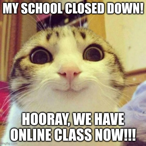 My School Actually Closed Down Today Due To A Virus And I Made This Meme In Online Class | MY SCHOOL CLOSED DOWN! HOORAY, WE HAVE ONLINE CLASS NOW!!! | image tagged in memes,smiling cat | made w/ Imgflip meme maker