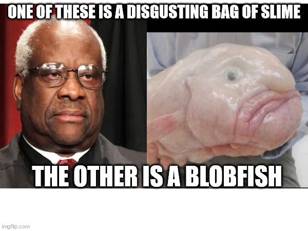 ONE OF THESE IS A DISGUSTING BAG OF SLIME; THE OTHER IS A BLOBFISH | made w/ Imgflip meme maker