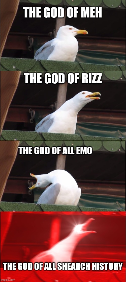 Inhaling Seagull | THE GOD OF MEH; THE GOD OF RIZZ; THE GOD OF ALL EMO; THE GOD OF ALL SHEARCH HISTORY | image tagged in memes,inhaling seagull | made w/ Imgflip meme maker