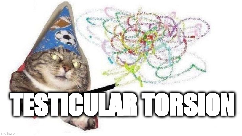 Wizard Cat | TESTICULAR TORSION | made w/ Imgflip meme maker