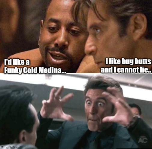 Heat | I like bug butts and I cannot lie.. I'd like a Funky Cold Medina... | image tagged in funny | made w/ Imgflip meme maker