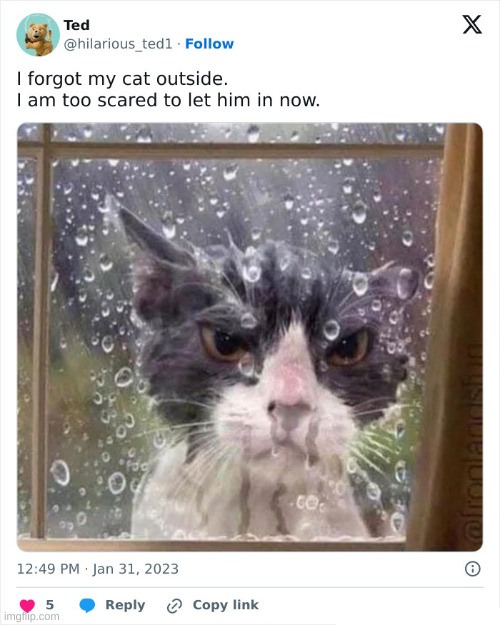 That is one mad cat | made w/ Imgflip meme maker