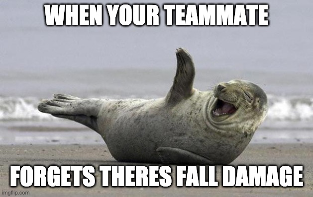 laughing seal | WHEN YOUR TEAMMATE; FORGETS THERES FALL DAMAGE | image tagged in laughing seal | made w/ Imgflip meme maker