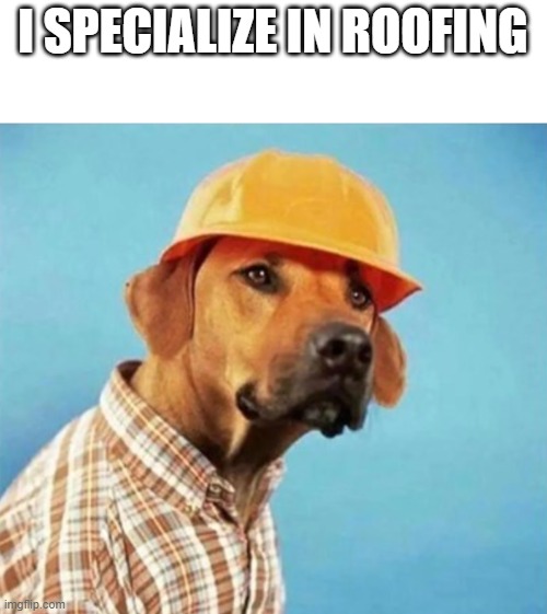 I SPECIALIZE IN ROOFING | made w/ Imgflip meme maker