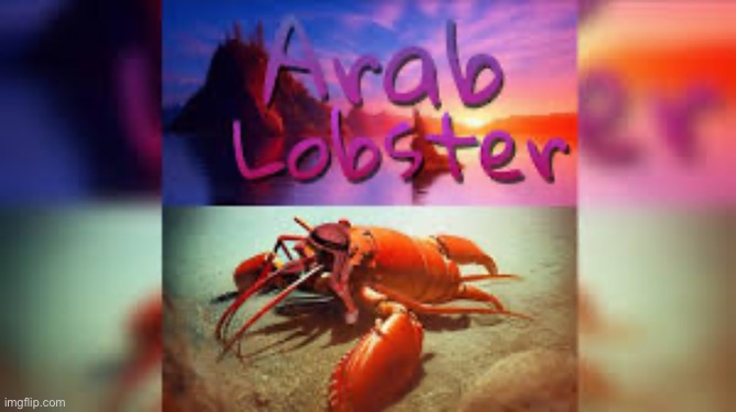 ARAB LOBSTA? | made w/ Imgflip meme maker