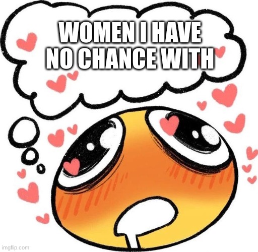 Dreaming Drooling Emoji | WOMEN I HAVE NO CHANCE WITH | image tagged in dreaming drooling emoji | made w/ Imgflip meme maker