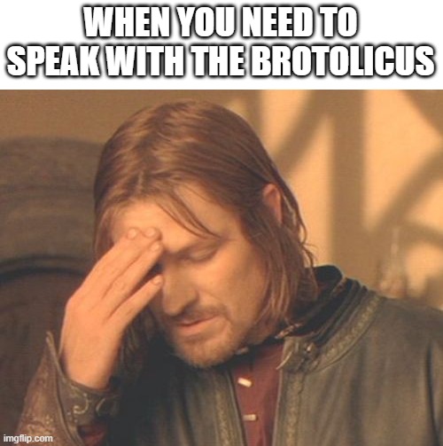 genshit | WHEN YOU NEED TO SPEAK WITH THE BROTOLICUS | image tagged in memes,frustrated boromir | made w/ Imgflip meme maker